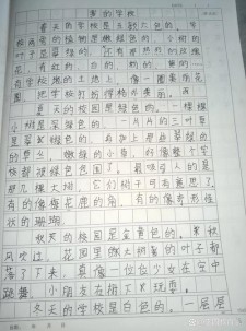 我的优秀作文学校小学作文锦集4篇