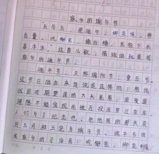 小学生愉快的六年级作文端午节作文450字（个人通用）