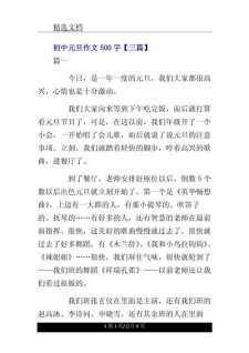 元旦的作文网作文500字初中