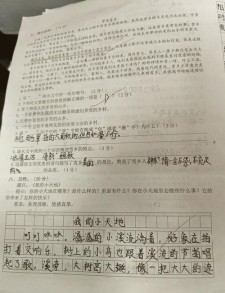我的看图作文小天地作文600字初中