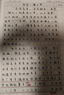 小草自述小学作作文精选5篇