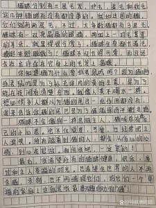 介绍一种事物作作文素材初一(优秀6篇)