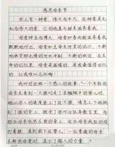 描写感恩母亲节的中考作文500字作文