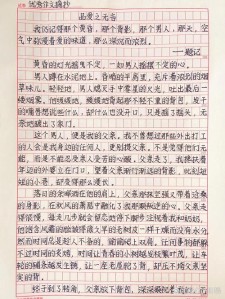父爱作文800字高中一年高考作文优秀作文