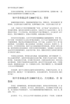 初中生青春作作文网800字