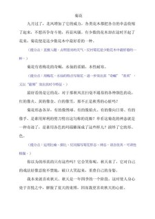 小学生关于菊花的小升初作文作文7000字合集6篇