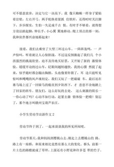 小学生劳动节春游作优秀作文（通用5篇）