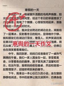 寒假作中考作文200字初中