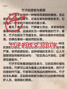 竹小学作优秀作文锦集