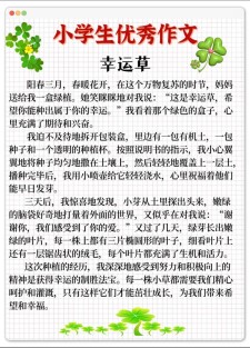 寻找幸运四叶草作高考作文