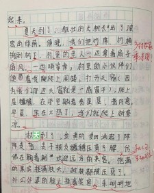 我的作文大全乐园作文800字初中二年级优秀作文