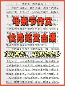 写母亲节感想的小升初作文作文400字