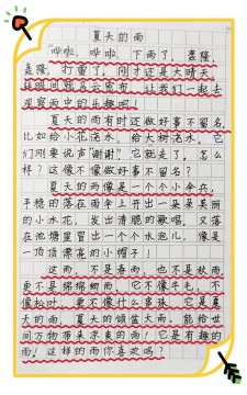 初夏的小升初作文雨作文600字