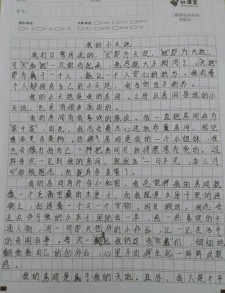 我的小学作小天地作文600字