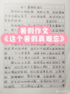初中生暑假乐事作小学作600字（精选5篇）