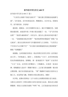 过新年作作文素材600字左右初中