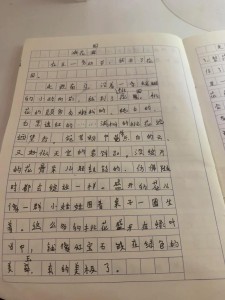春天游记作文400字小学四年看图作文优秀作文