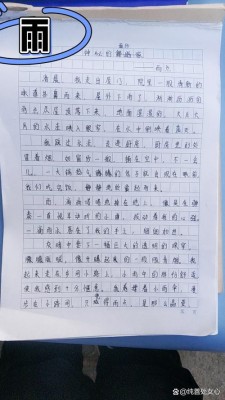 雨小学三年中考作文作文