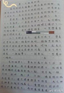 蛋炒饭作小升初作文