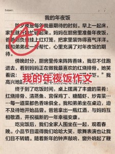 吃年夜饭作文250字小学二年大学作最新