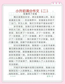 六年小升初作文期末考试作文2023