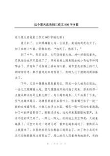 夏天作作文素材800字初中