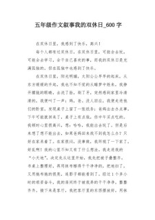 在我的高中作双休日里作文