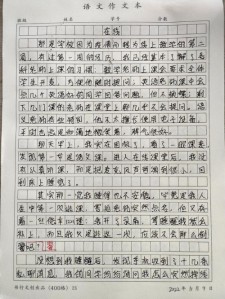 内蒙古2017年高考满分作中考作文汇总