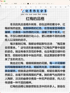 红梅公园作小学作600字
