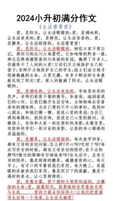 偷玩电脑的小升初作文日子作文