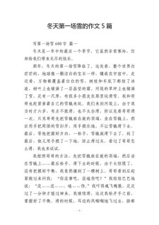 冬天的高考作文第一场雪高中作文