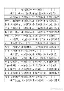精彩的大学作端午节作文