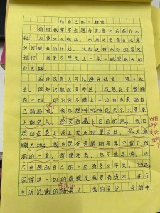全国卷12017年高考满分作文：致美国笔友的中考作文信