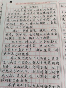 总有一种期待作小学作800字高二