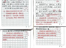 [荐]小学作作文大全通用评语(精选4篇)