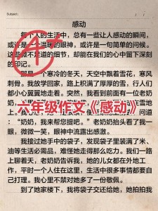 毕业作六年级作文600初三感动