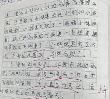 放风筝作优秀作文600字初中