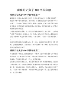 四年作文大全兔子作文