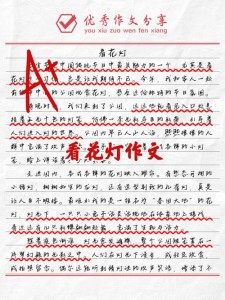 元宵节赏花灯作文600字初中三年作文素材实用5篇