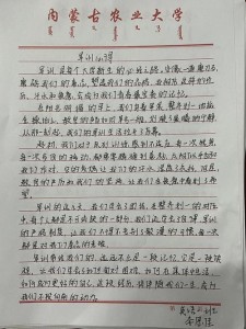 小作文生军训个人总结范文