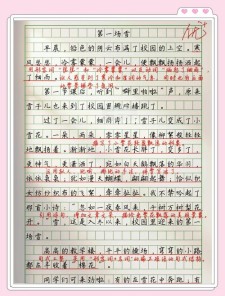 入春的六年级作文第一场雪作文500字小学五年级作文(精选)