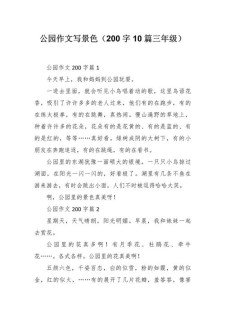 夏天的中考作文公园小学作文