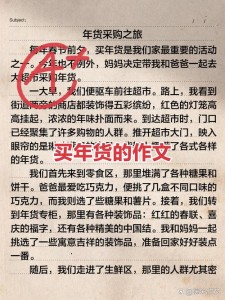 和妈妈一起买年货作作文大全700字