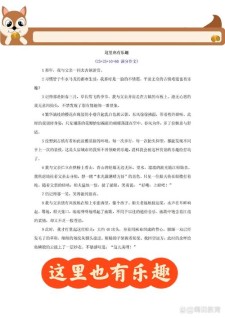 这里也有乐趣