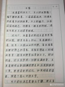 乡情悠悠让我沉醉初二作作文素材800字（精选）