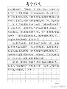 初中生元旦600字作高考作文