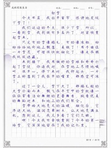 下雪了作文六年大学作(精选9篇)