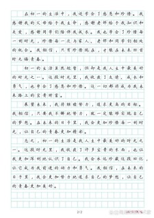 小学的作文素材美好时光作文7篇