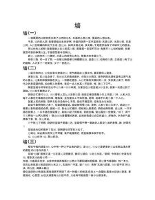关于墙的小升初作文作文600字初中作文