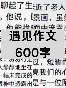 遇见作优秀作文600字初二叙事